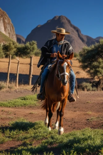 quarterhorse,endurance riding,horsemanship,chilean rodeo,man and horses,horse herder,gaucho,western riding,cowboy action shooting,horse running,wild spanish mustang,cowboy mounted shooting,buckskin,horse trainer,galloping,horseback riding,horse grooming,gelding,namib rand,warm-blooded mare,Photography,General,Realistic