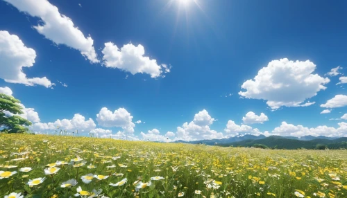 dandelion background,meadow landscape,dandelion field,summer meadow,dandelion meadow,sunburst background,aaa,blooming field,flowering meadow,spring meadow,spring background,flower field,wood daisy background,alpine meadow,summer sky,field of flowers,background view nature,spring in japan,dandelion flying,mountain meadow,Photography,General,Realistic