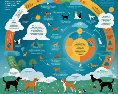 ancient dog breeds,pet vitamins & supplements,infographics,round animals,giant dog breed,vector infographic,animal migration,ecological footprint,infographic,animal welfare,animal world,infographic elements,animal icons,animal shelter,forest animals,animal shapes,info graphic,pet adoption,rescue dogs,dog breed,Unique,Design,Infographics