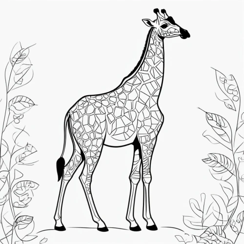 line art animals,giraffidae,line art animal,guanaco,deer illustration,coloring page,coloring pages,camelid,giraffe,deer drawing,coloring pages kids,dotted deer,vicuña,animal line art,vicuna,llama,bazlama,botanical line art,straw animal,canidae,Illustration,Black and White,Black and White 04