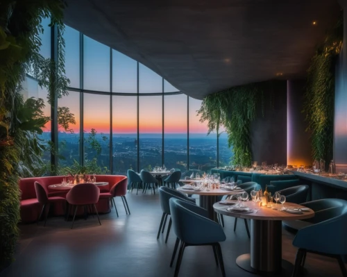 alpine restaurant,fine dining restaurant,new york restaurant,restaurant bern,dining room,salt bar,outdoor dining,dining,breakfast room,wine bar,a restaurant,top of the rock,hotel w barcelona,glass wall,penthouse apartment,bistro,piano bar,sky apartment,great room,roof garden,Photography,General,Fantasy