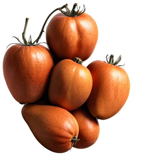 plum tomato,roma tomato,tomato,roma tomatoes,red tomato,tomatoes,vine tomatoes,persimmons,greed,bush tomato,persimmon,a tomato,calabaza,wall,tomatos,small tomatoes,grape tomatoes,green tomatoe,cucurbita,solanaceae,Photography,General,Realistic