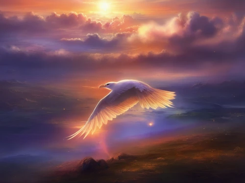 dove of peace,angel wing,angel wings,doves of peace,holy spirit,peace dove,angelology,fantasy picture,pentecost,constellation swan,winged heart,full hd wallpaper,uriel,white dove,bird in the sky,firebird,flying hawk,the archangel,phoenix,world digital painting,Illustration,Realistic Fantasy,Realistic Fantasy 01
