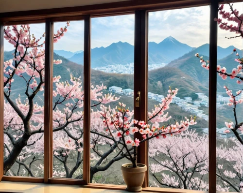 apricot blossom,plum blossoms,window film,plum blossom,apricot flowers,almond blossoms,window view,spring in japan,sakura blossoms,sakura trees,japanese sakura background,spring blossoms,peach blossom,winter window,japanese cherry blossoms,takato cherry blossoms,spring blossom,sakura blossom,japanese cherry trees,japanese-style room,Unique,Design,Sticker