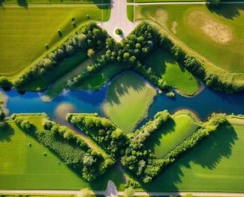 aerial landscape,the netherlands,polder,dutch landscape,aerial photography,green trees with water,dji agriculture,münsterland,artificial islands,the center of symmetry,aerial shot,northern germany,bermuda triangle,drone shot,green landscape,aerial view umbrella,art forms in nature,bird's-eye view,lithuania,bird's eye view,Photography,General,Realistic