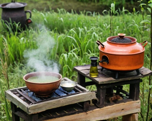 outdoor cooking,portable stove,vietnamese lotus tea,maojian tea,moc chau tea doi,tea zen,cooking pot,pu-erh tea,pu'er tea,houkui tea,asian teapot,gyokuro,japanese tea,chafing dish,tin stove,sayama tea,children's stove,anhui cuisine,tea service,kapeng barako,Illustration,Realistic Fantasy,Realistic Fantasy 27