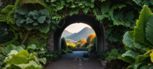 tunnel of plants,plant tunnel,wall tunnel,archway,el arco,fairy door,natural arch,heaven gate,pathway,garden door,gateway,the mystical path,the threshold of the house,walkway,tunnel,hobbiton,doorway,hiking path,pointed arch,half arch,Photography,General,Natural