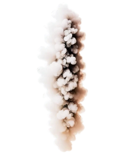 smoke plume,abstract smoke,fumarole,industrial smoke,emission fog,smoke background,abstract air backdrop,dust cloud,plume,cloud of smoke,pyrotechnic,smoke bomb,a plume of ash,veil fog,co2 cylinders,fractalius,particles,solomon's plume,stalactite,fir cone,Art,Artistic Painting,Artistic Painting 37