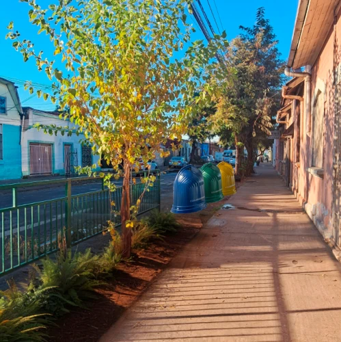 old linden alley,valparaiso,punta arenas,puerto varas,alley,alleyway,birch alley,narrow street,osorno,burano,street view,puerto natales,moc chau hill,village street,the street,palo alto,sidewalk,bukchon,old quarter,neighborhood