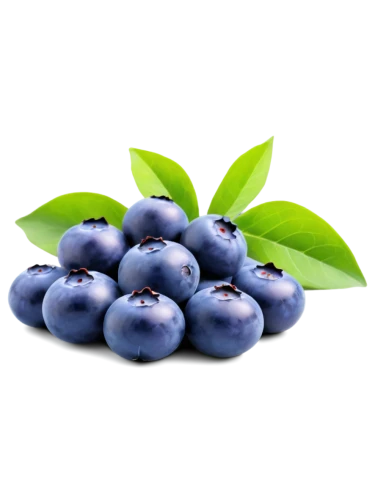 bilberry,blueberries,johannsi berries,blue grapes,berry fruit,bayberry,jamun,grape seed extract,blueberry,wall,purple grapes,dewberry,acai,grape hyancinths,chokeberry,damson,purple,olives,european plum,blue grape,Illustration,Realistic Fantasy,Realistic Fantasy 27
