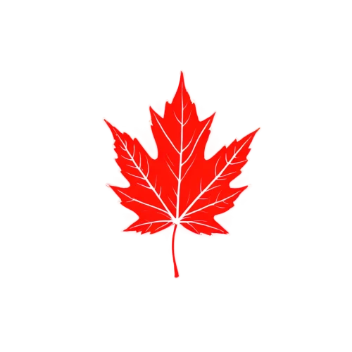 maple leaf red,canadian flag,maple leaf,red maple leaf,yellow maple leaf,buy weed canada,canada,canada cad,maple leaves,canadian,canadas,maple leave,maple bush,canada air,maple foliage,leaf background,las canadas,canadian fir,west canada,maple,Illustration,Black and White,Black and White 35