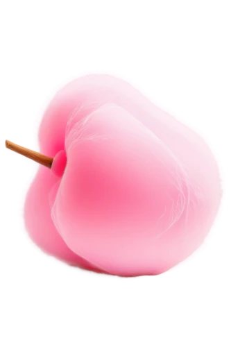 water balloon,bonbon,cosmetic brush,magenta,gelatin dessert,pink icing,gelatin,blancmange,dango,fondant,bubble gum,aquafaba,iced-lolly,inflates soap bubbles,pink quill,bath ball,lollypop,mitarashi dango,pompom,bouncy ball,Illustration,Vector,Vector 13