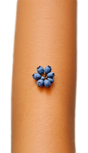 forget-me-not,forget-me-nots,plumbago,blue flower,alpine forget-me-not,blue petals,forget me nots,water forget me not,isolated product image,forget me not,jewelry florets,blue daisies,minimalist flowers,myosotis,blue chrysanthemum,bicolored flower,two-tone flower,stitched flower,bracelet,fleur de sel,Art,Classical Oil Painting,Classical Oil Painting 05