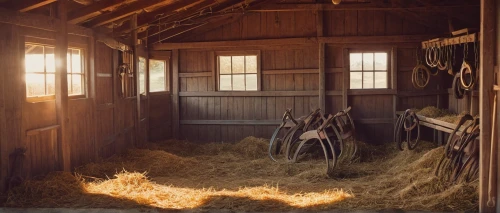 horse barn,horse stable,horse grooming,pony farm,piglet barn,stable animals,straw bales,roumbaler straw,straw bale,christmas manger,horse-rocking chair,stables,pile of straw,barn,straw hut,field barn,hay horse,woman of straw,horse breeding,livestock farming,Illustration,Children,Children 03