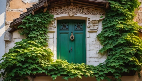 garden door,old door,art nouveau,sicily window,green wreath,paris balcony,home door,aix-en-provence,budapest,wooden door,french windows,door wreath,geneva,french building,doorway,front door,fairy door,portal,france,window front,Illustration,Black and White,Black and White 13