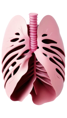lungs,lung cancer,respiratory protection,ventilate,lung,heart clipart,medical illustration,connective tissue,heart care,kidney,diaphragm,copd,puffy hearts,circulatory,cardiology,aorta,heart balloons,cardiac,oxygenated and deoxygenated,electrophysiology,Art,Artistic Painting,Artistic Painting 37
