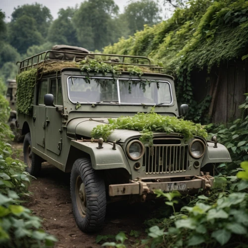 military jeep,land rover series,willys jeep,willys jeep truck,land-rover,dodge m37,land rover,humvee,military vehicle,veteran car,willys-overland jeepster,open hunting car,cj7,dodge power wagon,snatch land rover,artillery tractor,jeep cj,jeep rubicon,medium tactical vehicle replacement,land rover defender,Photography,General,Cinematic