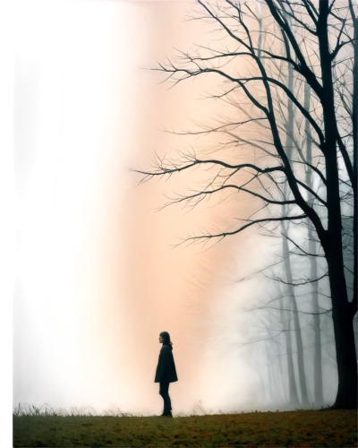 girl walking away,woman walking,woman silhouette,girl in a long,girl with tree,solitude,solitary,wanderer,walk,loneliness,sleepwalker,dense fog,love in the mist,walk in a park,silhouette of man,the wanderer,mist,ground fog,child in park,autumn fog,Conceptual Art,Oil color,Oil Color 13