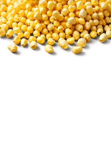 corn kernels,maize,kernels,corn,corn salad,soybean oil,fregula,sweetcorn,sweet corn,creamed corn,playcorn,grains,soybean,soybeans,mung bean,dal,cob,rapeseeds,corn ordinary,winter corn,Illustration,Realistic Fantasy,Realistic Fantasy 01