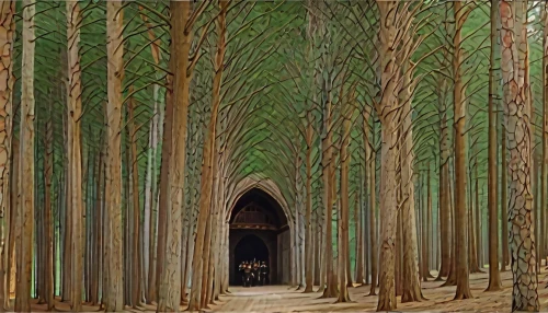 forest chapel,bamboo forest,holy forest,cartoon forest,pine forest,spruce forest,coniferous forest,beech forest,birch forest,the forest,forest background,germany forest,grove of trees,forest path,fir forest,chestnut forest,the forests,temperate coniferous forest,forest landscape,deciduous forest,Photography,General,Natural