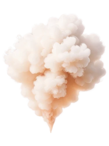 cloud mushroom,cloud of smoke,cloud image,mushroom cloud,cumulus nimbus,cumulus cloud,thundercloud,cloud play,cloud mood,smoke plume,smoke bomb,cloud shape,dust cloud,cumulus,fall from the clouds,soundcloud logo,abstract smoke,cloud,paper clouds,about clouds,Conceptual Art,Daily,Daily 11