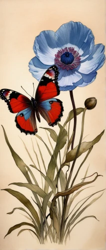 ulysses butterfly,flower and bird illustration,flower painting,red poppies,hesperia (butterfly),himilayan blue poppy,blue birds and blossom,cloves schwindl inge,butterfly floral,adonis blue,blue butterflies,illustration of the flowers,carol colman,red butterfly,flowers png,cupido (butterfly),coquelicot,morpho,red poppy,lycaena phlaeas,Conceptual Art,Fantasy,Fantasy 07