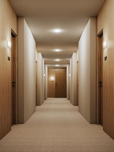 hallway space,hallway,corridor,hotel hall,3d rendering,render,room lighting,flooring,recessed,elevators,3d render,an apartment,rooms,hotel man,floors,walk-in closet,3d rendered,ceiling lighting,empty hall,hall