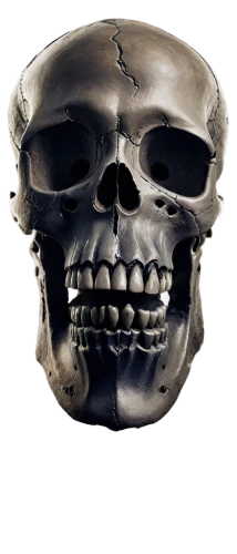 skull mask,skull sculpture,skull bones,human skull,skull with crown,scull,skull,skull statue,skull illustration,fetus skull,covid-19 mask,death mask,mandible,skull drawing,x-ray of the jaw,soldier's helmet,skull allover,skulls and,skulls bones,ffp2 mask,Art,Classical Oil Painting,Classical Oil Painting 33