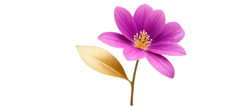 flowers png,crown chakra flower,lotus png,lotus ffflower,minimalist flowers,flower background,anemone japonica,flower illustrative,magnolia flower,magnolia star,purple flower,two-tone flower,flower illustration,decorative flower,artificial flower,purple dahlia,tulip magnolia,bicolored flower,saffron crocus,single flower,Unique,3D,Modern Sculpture