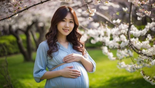 pregnant woman icon,spring background,pregnant girl,flower background,girl in flowers,pregnant woman,beautiful girl with flowers,pregnant women,springtime background,japanese floral background,chidori is the cherry blossoms,the cherry blossoms,vietnamese woman,expecting,cherry blossoms,asian woman,plum blossom,japanese woman,sakura blossom,japanese sakura background,Illustration,Japanese style,Japanese Style 21