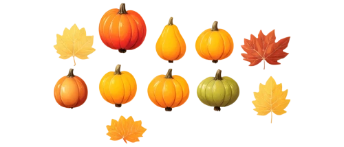 decorative squashes,decorative pumpkins,seasonal autumn decoration,ornamental gourds,autumn fruits,autumn decoration,gourds,autumn pumpkins,fruits icons,autumn fruit,autumn decor,accessory fruit,cornucopia,fruit icons,candy corn pattern,calabaza,mini pumpkins,pumpkins,candy corn,fruits,Illustration,Abstract Fantasy,Abstract Fantasy 09