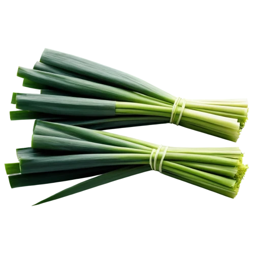 spring onion,chinese celery,spring onions,green asparagus,celery stalk,scallion,leek,brass chopsticks vegetables,lemongrass,sugarcane,sugar cane,grass blades,shrub celery,citronella,real celery,wild celery,arrowgrass,celery,calçot,celery tuber,Conceptual Art,Daily,Daily 15