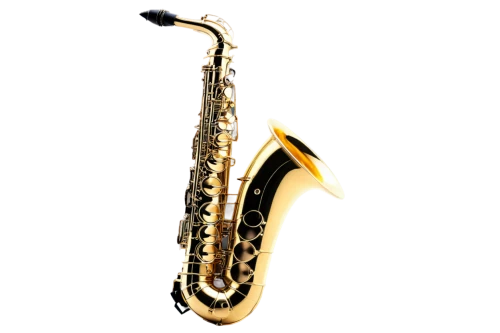 baritone saxophone,tenor saxophone,saxophone,sax,woodwind instrument accessory,american climbing trumpet,saxhorn,wind instrument,woodwind instrument,bass oboe,brass instrument,climbing trumpet,wind instruments,saxophone playing man,clarinet,saxophonist,flugelhorn,vienna horn,cor anglais,instrument trumpet,Illustration,Retro,Retro 25