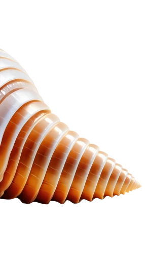 garden cone snail,spiny sea shell,anago,sea shell,cone,seashell,blue sea shell pattern,school cone,sfogliatelle,ice cream cone,fir cone,tubular anemone,sea snail,cones,beach shell,conifer cone,soft serve ice creams,african croissant,clam shell,seashells,Illustration,Vector,Vector 18