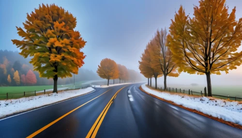 tree lined lane,autumn background,winter background,winter landscape,winding roads,roads,landscape background,maple road,aaa,country road,fall landscape,autumn scenery,autumn landscape,mountain road,open road,long road,road,colored pencil background,winding road,snow landscape