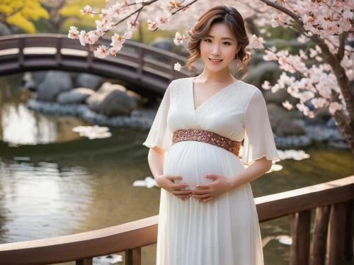 pregnant woman icon,pregnant woman,ao dai,pregnant girl,pregnant statue,pregnant women,maternity,expecting,korean culture,hanbok,japanese woman,the cherry blossoms,pregnant,cherry blossom festival,apricot blossom,pregnancy,pregnant book,beautiful girl with flowers,girl in a long dress,cherry blossom,Photography,Fashion Photography,Fashion Photography 22