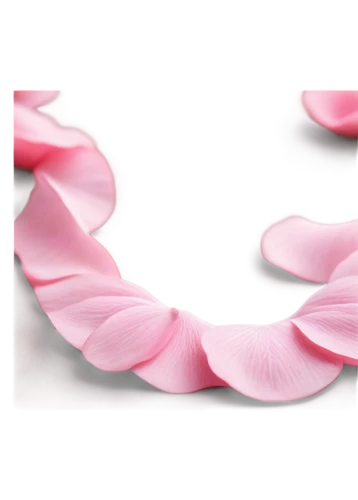 breast cancer ribbon,flower ribbon,pink ribbon,flower garland,party garland,flower strips,gift ribbon,cancer ribbon,ribbon,sakura wreath,flowers png,curved ribbon,flower wall en,hair ribbon,hair accessories,paper chain,ribbon (rhythmic gymnastics),razor ribbon,ribbon symbol,paper flower background,Illustration,Abstract Fantasy,Abstract Fantasy 19