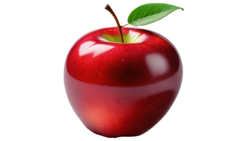 worm apple,jew apple,bladder cherry,red apple,red plum,apple logo,core the apple,great cherry,jewish cherries,wild apple,star apple,red fruit,rose apple,indian jujube,drupe,apple design,nannyberry,red apples,bell apple,apple half,Illustration,Retro,Retro 02