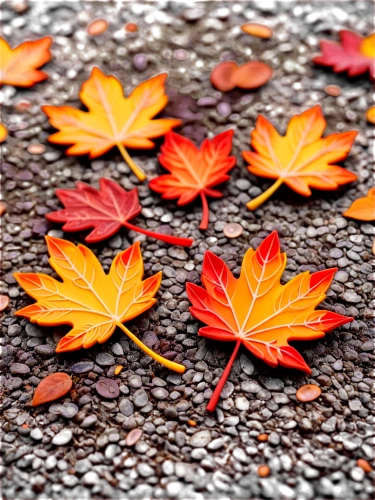 maple leaf red,red maple leaf,fallen leaves,leaf background,colored leaves,maple leaf,maple leaves,maple leave,colorful leaves,red leaves,autumn background,autumnal leaves,yellow maple leaf,autumn pattern,autumn leaves,fall leaves,red leaf,reddish autumn leaves,maple foliage,autumn leaf paper,Unique,Paper Cuts,Paper Cuts 09