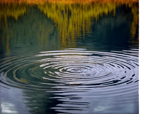 ripples,reflection of the surface of the water,reflection in water,reflections in water,water reflection,whirlpool pattern,surface tension,water surface,ripple,whirlpool,water mirror,water scape,mirror water,waterscape,feather on water,calm water,water waves,waves circles,water lotus,refraction,Illustration,Paper based,Paper Based 18