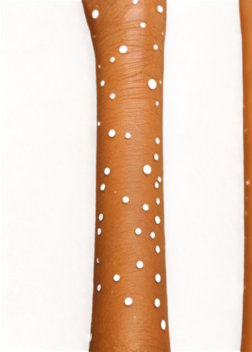polka dot pattern,spots,adhesive bandage,dotted,polka dot dress,coral-spot,dots,paint spots,polka dot paper,dotted deer,dermatology,polka dot,dot pattern,polka dots,trypophobia,red-hot polka,bandage,skin texture,speckled,prosthetics,Conceptual Art,Oil color,Oil Color 13
