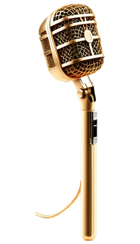 microphone,condenser microphone,mic,usb microphone,handheld microphone,wireless microphone,microphone stand,microphone wireless,speech icon,orator,sound recorder,student with mic,singer,backing vocalist,cajon microphone,announcer,handheld electric megaphone,vocal,speaker,public address system,Photography,Documentary Photography,Documentary Photography 36