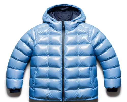 polar fleece,north face,national parka,outerwear,fleece,puffer,weatherproof,bluejacket,parka,windbreaker,polar cap,avalanche protection,sleeping bag,glacial,suit of the snow maiden,winter sale,alpine style,clover jackets,winter sales,winter clothing,Photography,Artistic Photography,Artistic Photography 04