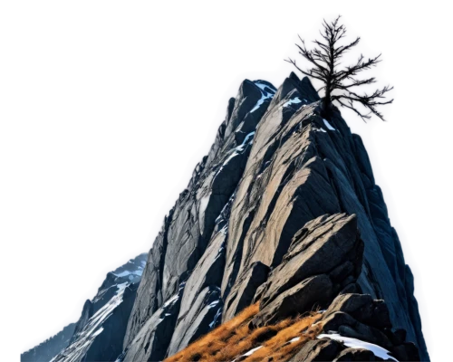 spruce needle,mitre peak,alpine crossing,silvertip fir,rock needle,camel peak,peaks,moutains,5 dragon peak,mountain slope,snowy peaks,splendor notch,mountain peak,steep,mountain,larch forests,mountains,the spirit of the mountains,old man of the mountain,larch trees,Illustration,Realistic Fantasy,Realistic Fantasy 41