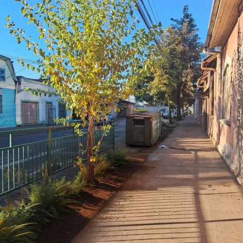 old linden alley,punta arenas,birch alley,alleyway,alley,valparaiso,one autumn afternoon,narrow street,moc chau hill,village street,play street,street view,autumn morning,the street,greystreet,puerto natales,small towns,old quarter,neighbourhood,neighborhood