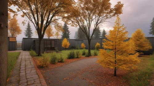 corten steel,american larch,3d rendering,render,ash-maple trees,larch trees,school design,autumn camper,birch alley,larch,house in the forest,american aspen,poplar tree,mid century house,modern house,larch forests,siberian elm,autumn trees,deciduous trees,timber house,Photography,General,Realistic