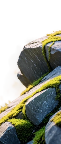 rock samphire,mountain stone edge,algae,rock erosion,background with stones,rock weathering,sea lettuce,aaa,stone background,green algae,erosion,stacked rock,wall,background abstract,beach erosion,beach grass,landform,rock forms,moss saxifrage,fennel pondweed,Illustration,Retro,Retro 14