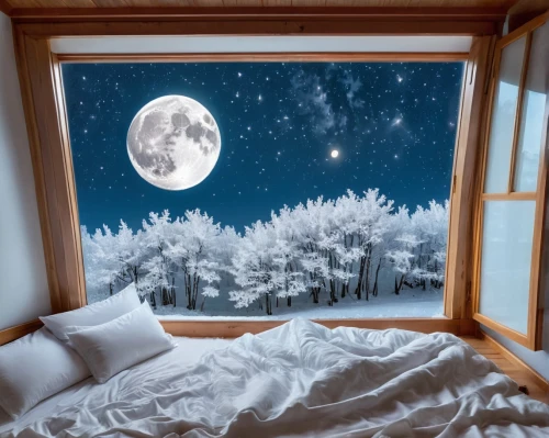 bedroom window,snowhotel,sleeping room,winter dream,moon and star background,night snow,snow globe,moonlit night,canopy bed,winter window,starry sky,snow landscape,romantic night,duvet cover,snowy landscape,moon night,the night sky,snow globes,moon seeing ice,night sky,Unique,Design,Knolling