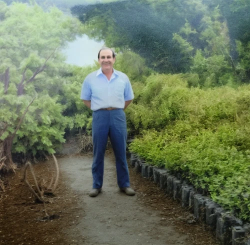 araucaria,taxus baccata,canarian dragon tree,podocarpus,austrocedrus chilensis,thuja,3d albhabet,landscape designers sydney,itamar kazir,nature and man,the roots of trees,people in nature,abdel rahman,adenium,prostrate juniper,landscape design sydney,dwarf tree,khan el kalili,alejandro vergara blanco,beyaz peynir