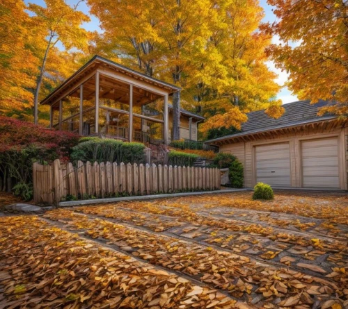 landscape designers sydney,fall landscape,autumn decor,autumn decoration,fall leaf border,fall foliage,golden autumn,landscape design sydney,bungalow,autumn idyll,new england style house,seasonal autumn decoration,beautiful home,autumn foliage,home landscape,fall colors,autumn gold,driveway,wooden decking,autumn landscape,Common,Common,Photography